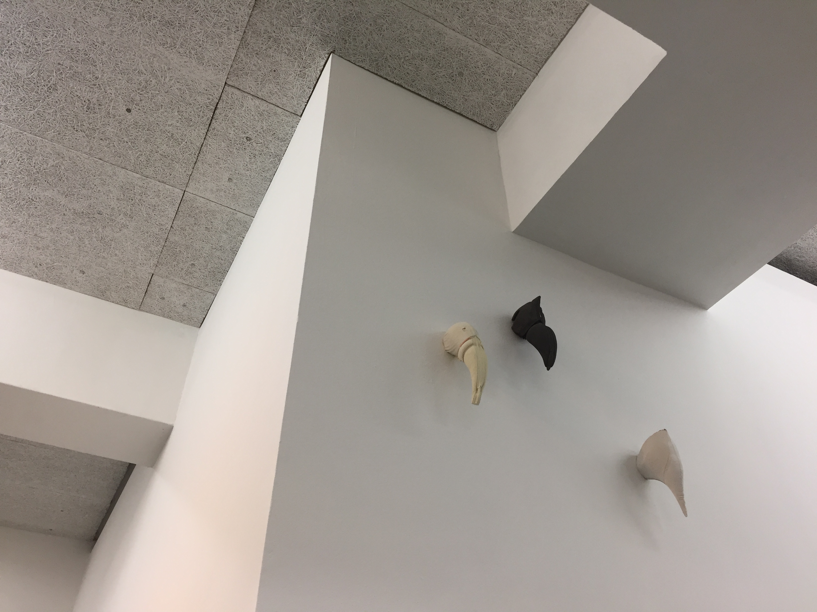 11 Flock, 2011 to 14, plaster, concrete, various sizes (casts of insides of bras) photo Adrienne Groen