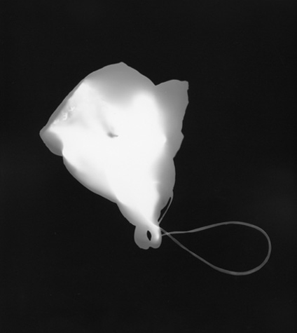 01 Things from the Thames, photogram, 2005, photographic paper, 42 x 37 cm